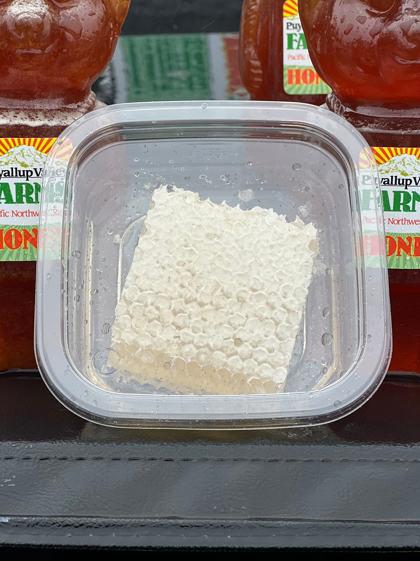 Puyallup Valley Farms Honeycomb 2x4 New Season Blackberry