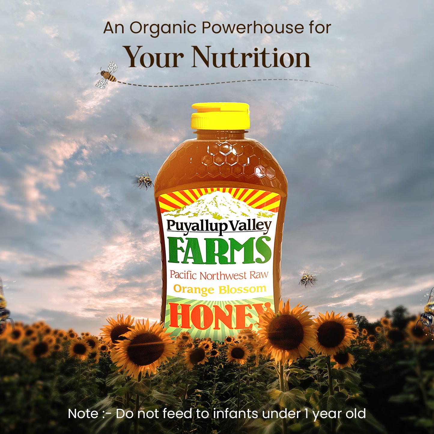 Orange Blossom Raw Honey by Puyallup Valley Farms | Organic Unfiltered Raw Honey | All-Natural Sweetener | No Additives | Non-Pasteurized Organic Raw Honey | BPA Free Raw Organic Honey Squeeze Bottle | No Drip Cap | FREE SHIPPING Orange Blossom 16 Oz