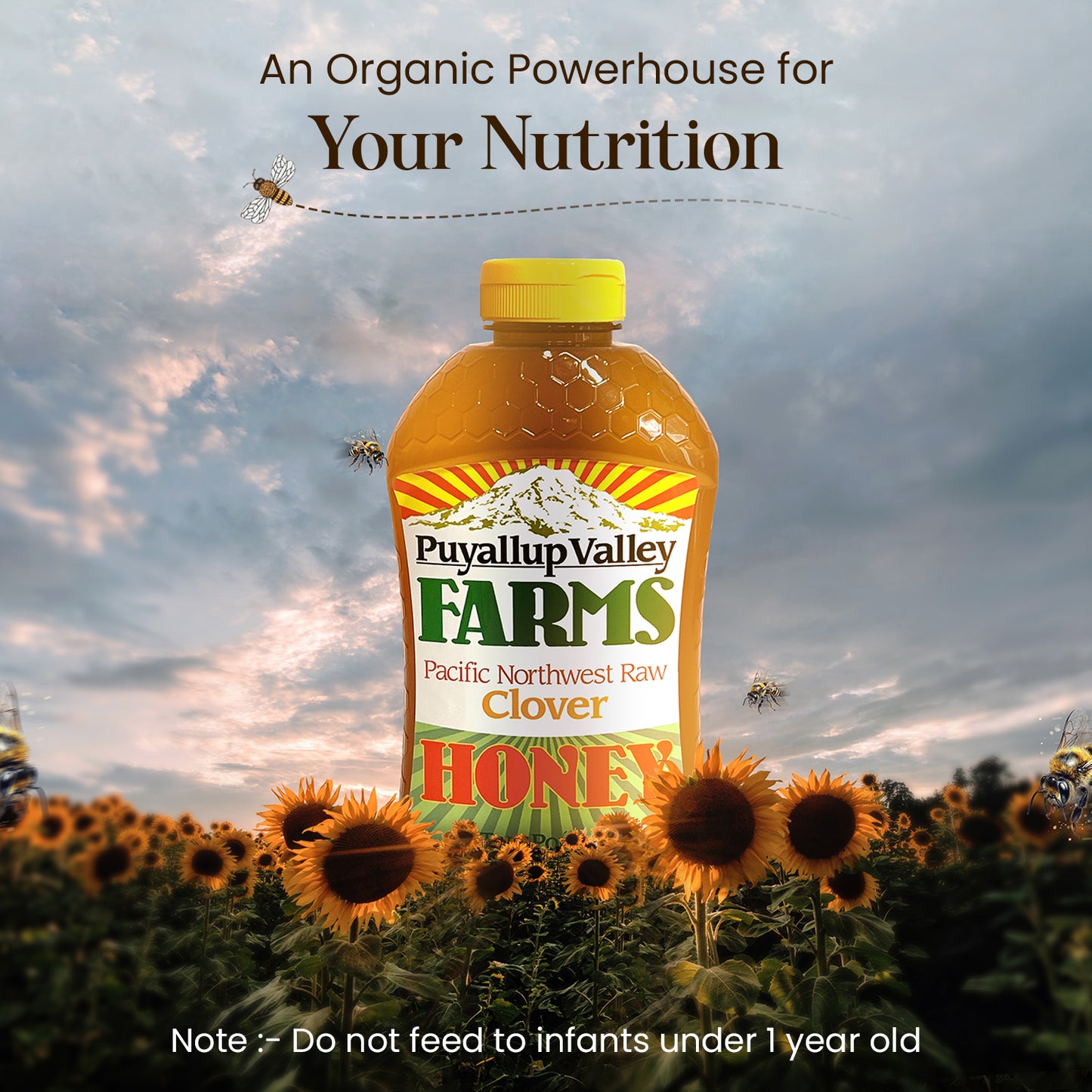Clover Raw Honey by Puyallup Valley Farms Unfiltered Raw Honey All Natural Sweetener No Additives Non Pasteurized Organic Raw Honey BPA Free Raw Organic Honey Bear Squeeze Bottle No Drip Cap FREE SHIPPING Clover 12 Oz.