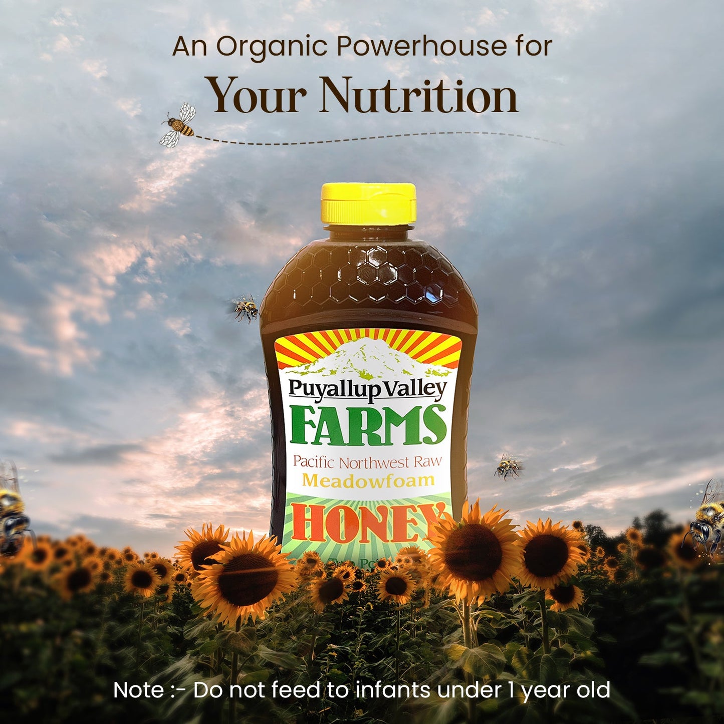 Puyallup Valley Farms™ Wholesale 13 Units Unfiltered Raw Honey