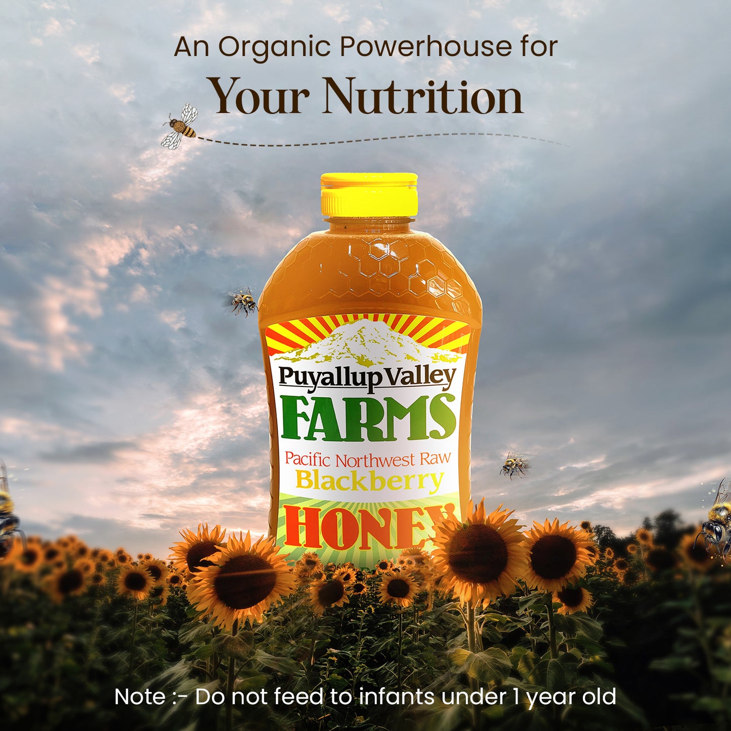 Puyallup Valley Farms™ Blackberry Honey | Raw Unfiltered 100% Pure | All Natural | No Additives | BPA Free No Drip Squeeze Bottle | 32 Oz.