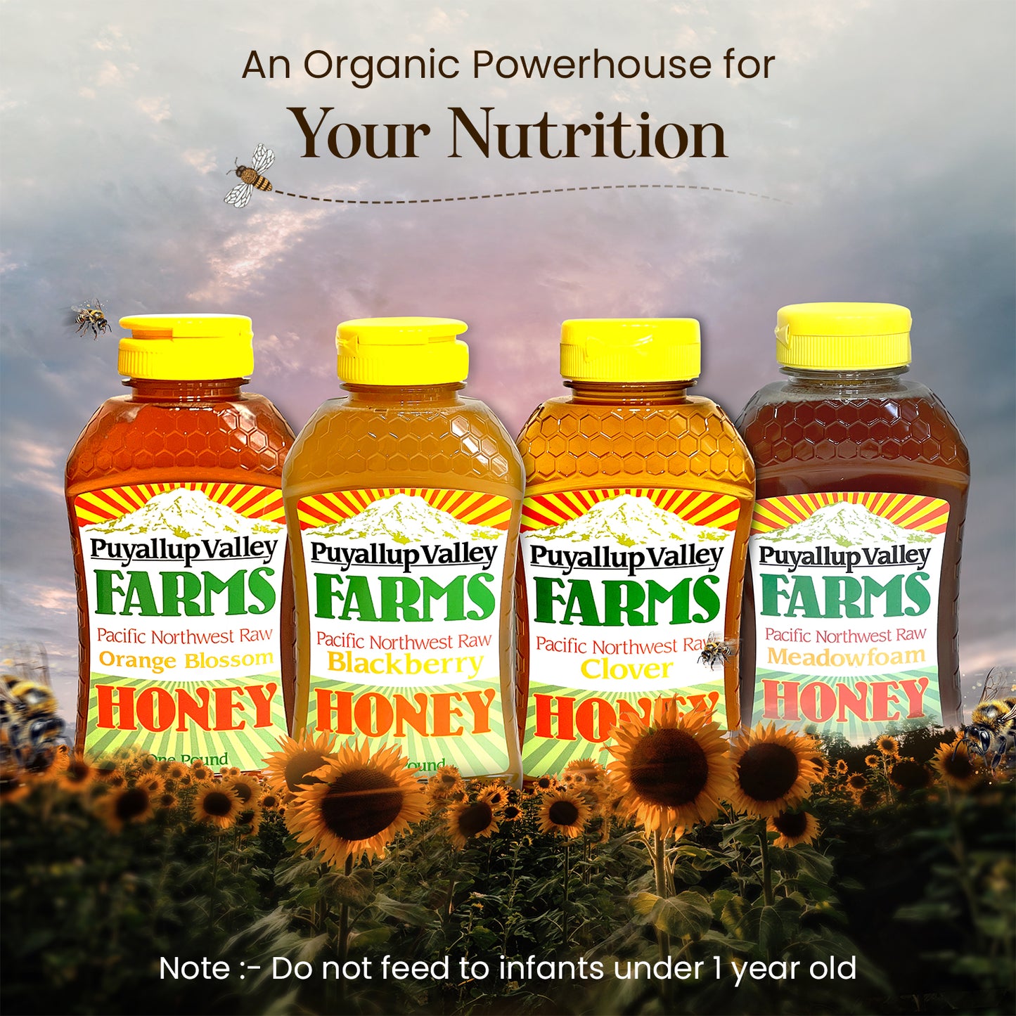 A Honey Gift Box by Puyallup Valley Farms | All-Natural Sweetener | No Additives | Non-Pasteurized Organic Raw Honey | Raw Honey Comes in 4-1lb Squeeze Bottles | Gift Box Include Four Different Flavors | Free Shipping 64 Oz.