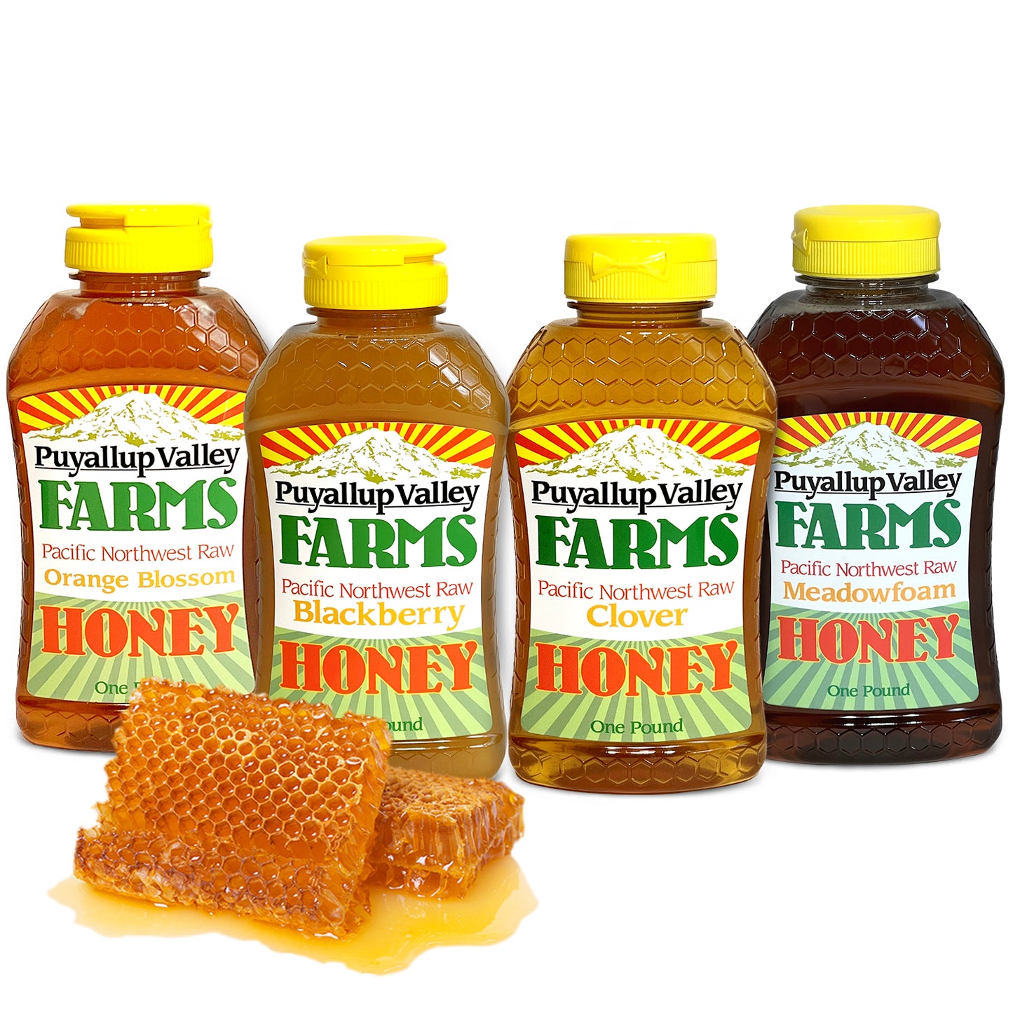 A Honey Gift Box by Puyallup Valley Farms | All-Natural Sweetener | No Additives | Non-Pasteurized Organic Raw Honey | Raw Honey Comes in 4-1lb Squeeze Bottles | Gift Box Include Four Different Flavors | Free Shipping 64 Oz.