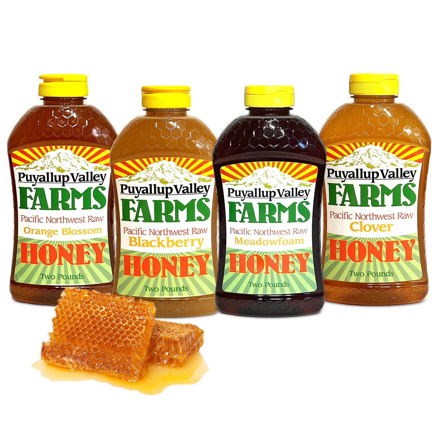 B Honey Gift Box by Puyallup Valley Farms | All-Natural Sweetener | No Additives | Non-Pasteurized Organic Raw Honey | Raw Honey Comes in 4-2lb Squeeze Bottles | Gift Box Includes Four Different Flavors | Free Shipping 128 Oz.